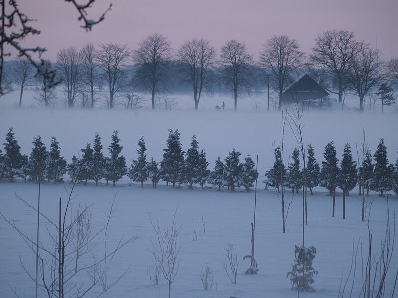 Winter