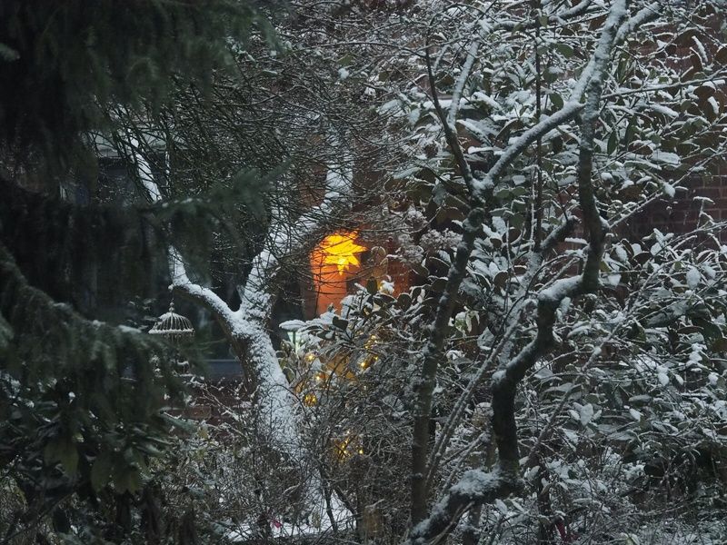 Winter