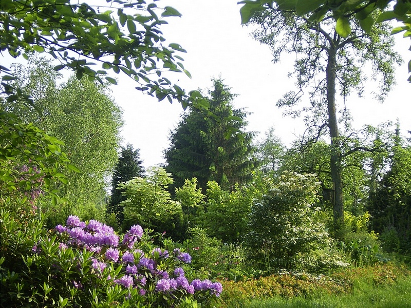 'Sonnenbeet'