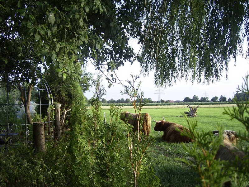 'Sonnenbeet'